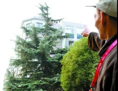 女子在小区内被马蜂蜇伤，状告物业索赔6万元！