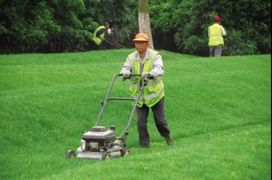 物业绿化养护七个基本点！