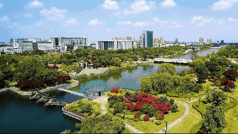 以“三项机制”促能力建设​