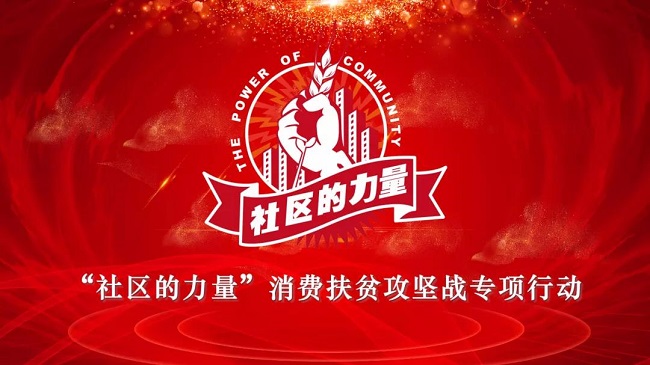 国务院扶贫办重点案例调研组调研“社区的力量”消费扶贫工作