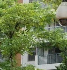 物业规避的17项主要风险！