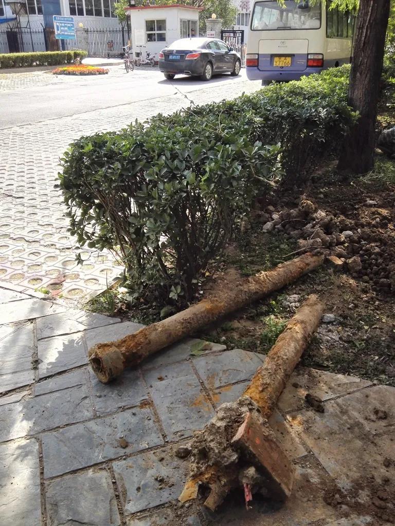 小区下水管检查结果：四大原因造成堵塞，请文明使用