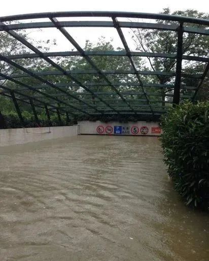 暴雨致房屋漏水、车库被淹，业主的损失谁买单？