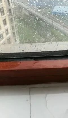 房屋内窗体渗水，法院判物业公司无责！