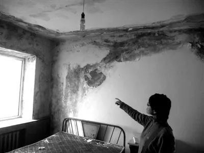 外墙渗水，墙纸发霉，物业有责吗？