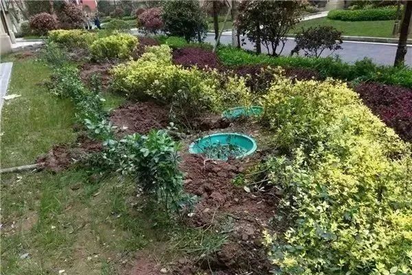 行动起来，向小区里的不文明行为说“不”！