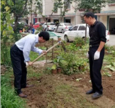 业主在小区里种的菜被物业挖了，法院说：物业没错！