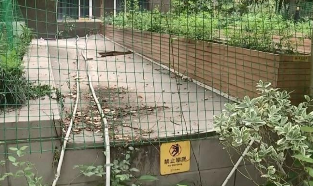 孩子爬车棚坠伤索赔30万！物业"已挂警示牌"反遭家长索赔，谁该为熊孩子的冒险买单？