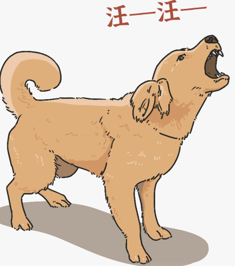 遛狗不牵绳，赔了28万元！